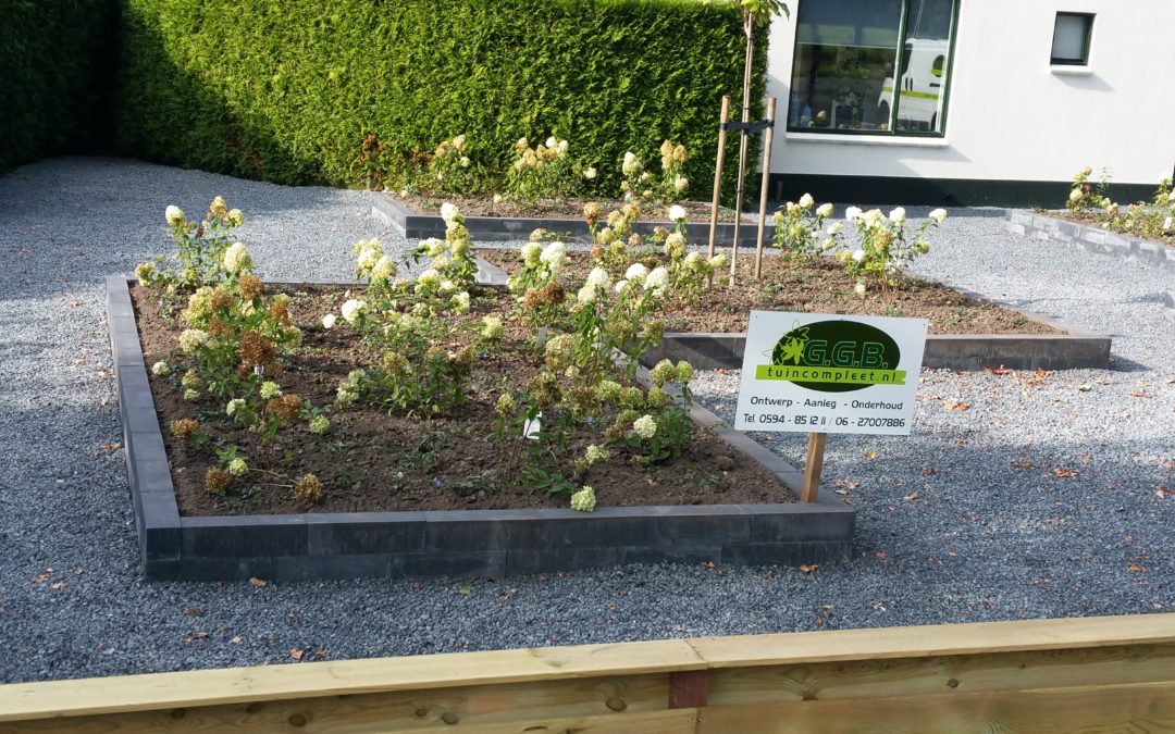 Tuin Leek